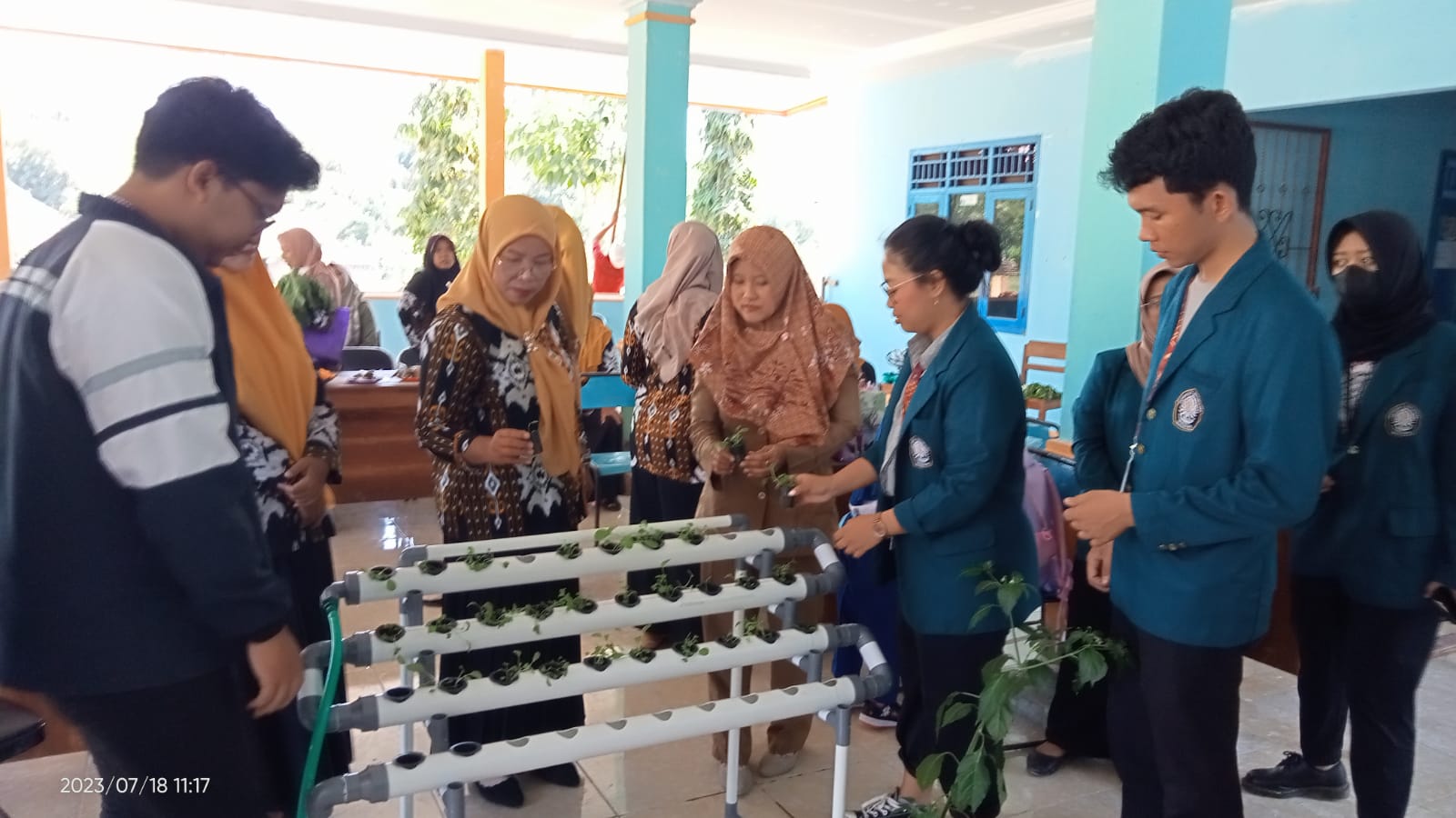 Modal Sedikit Untung Besar, Metode Hidroponik Wick dan DFT Dikembangkan di Kabupaten Tegal