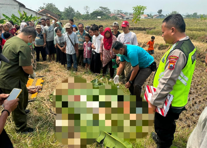 Sesosok Mayat Pria di Tegal Ditemukan di Areal Persawahan