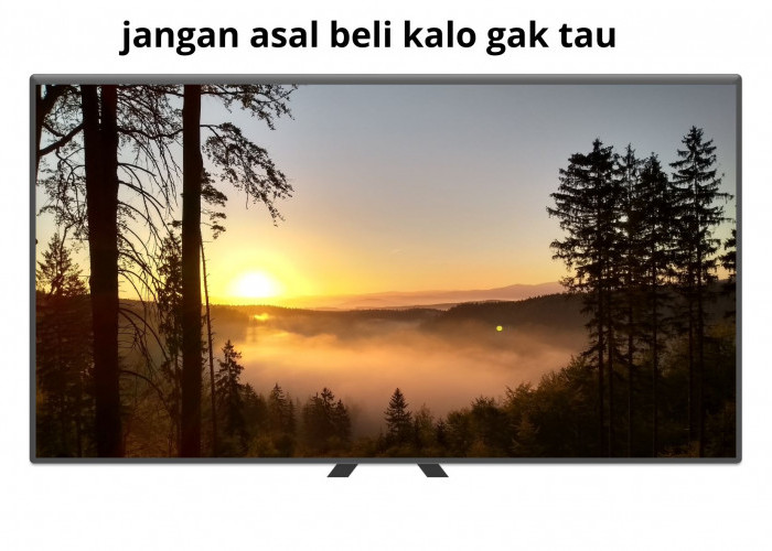 4 Tips Membeli Smart TV yang Berkualitas, Harga Mahal Belum Tentu Bagus dan Awet