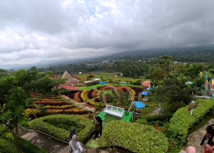 4 Tempat Mini Gathering di Pemalang Non Hotel, Nuansa Santai