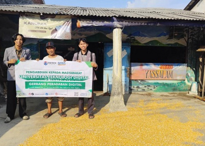 Mengapa Banyak Usaha Mikro, Kecil, dan Menengah Enggan Beralih ke Digital Meskipun Kesempatan Besarnya?