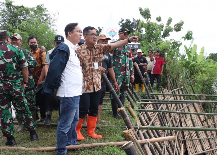 Kementan Tinjau Tanggul di Brebes, Ini Hasilnya