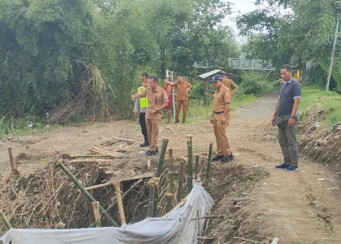 4 Titik Tanggul di Losari Brebes Kritis, Camat Akui Sudah Kirim Surat ke BBWS Cimancis