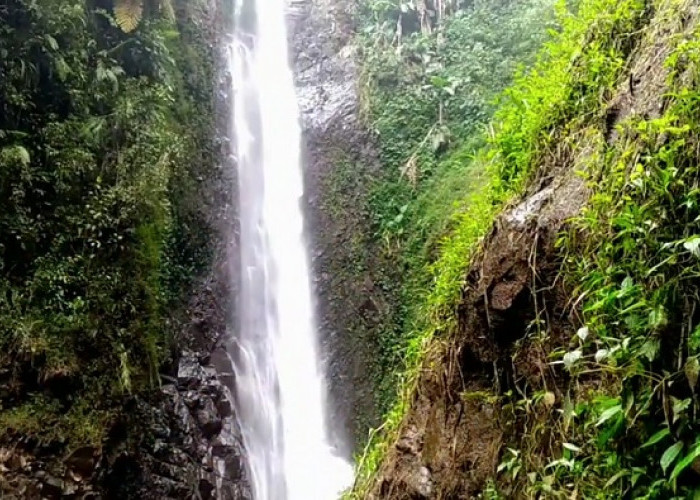 4 Curug di Tegal yang Akses Jalannya Mudah, Ramah untuk Pelancong yang Baru Pertama Datang