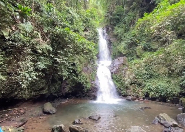 3 Curug di Magelang yang Mudah Dijangkau Pemula, Jalurnya Aman