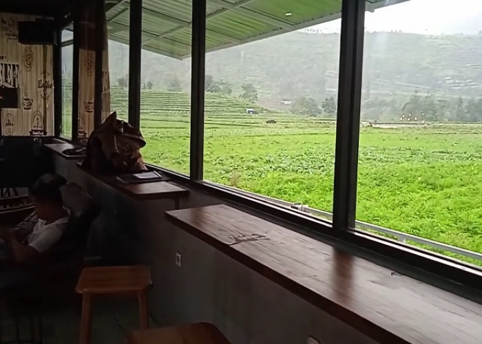 4 Cafe di Tegal View Gunung dengan Masing-masing Keunikannya