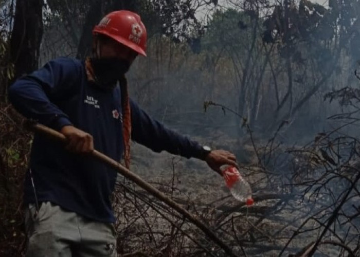 Sempat Hujan, Kebakaran Hutan di Gunung Slamet Kabupaten Tegal Padam Lebih Cepat  