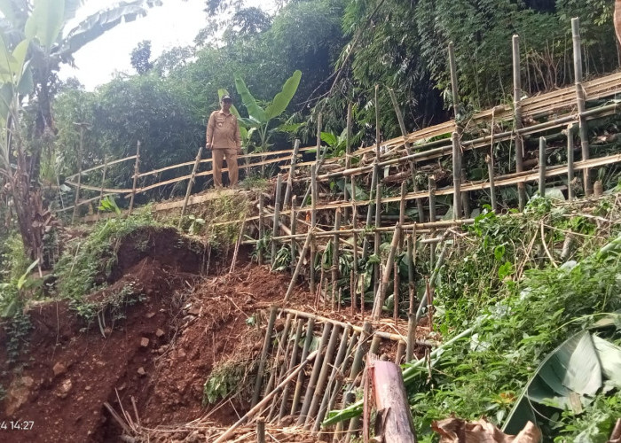 Tebing Jalan Tinggi 15 Meter Panjang 10 Meter di Desa Luwijawa Kabupaten Tegal Longsor