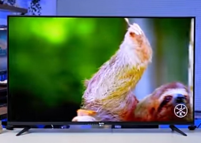 Cuma Rp2 Jutaan, Smart TV Tutu 43 Inch Didukung Dolby Surround dan Kualitas Gambar Lebih Jernih