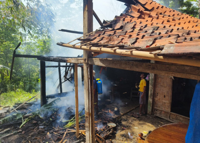 Kebakaran Rumah Terjadi di Dermasuci Kabupaten Tegal, Satu Keluarga Terpaksa Mengungsi 