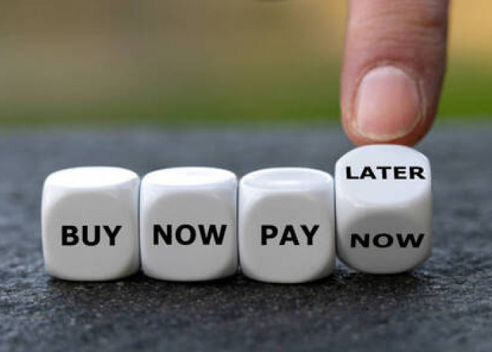 5 Kelebihan Pakai Layanan Paylater untuk Melakukan Transaksi, Mudah dan Prosesnya Cepat