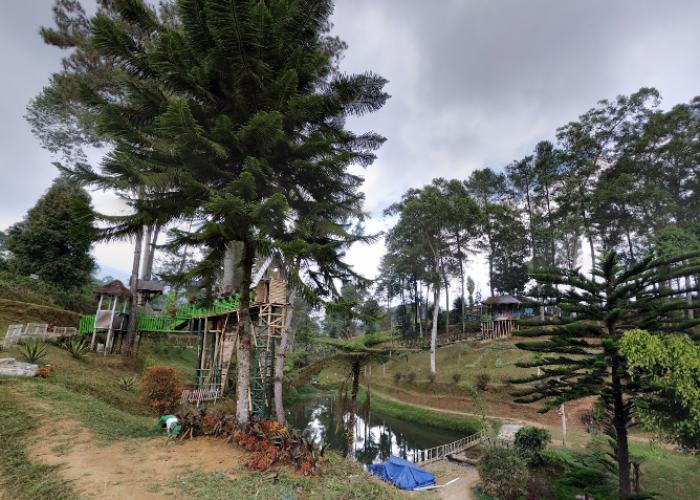 Pesona Kebun Teh Pagilaran Batang, Wisata Alam Mirip Negeri Dongeng