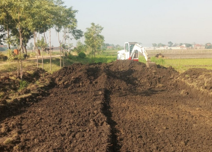 Sukses Budidaya Maggot dengan Manfaatkan Sampah MBG, Formagi Mulai Kembangkan Ternak Lele
