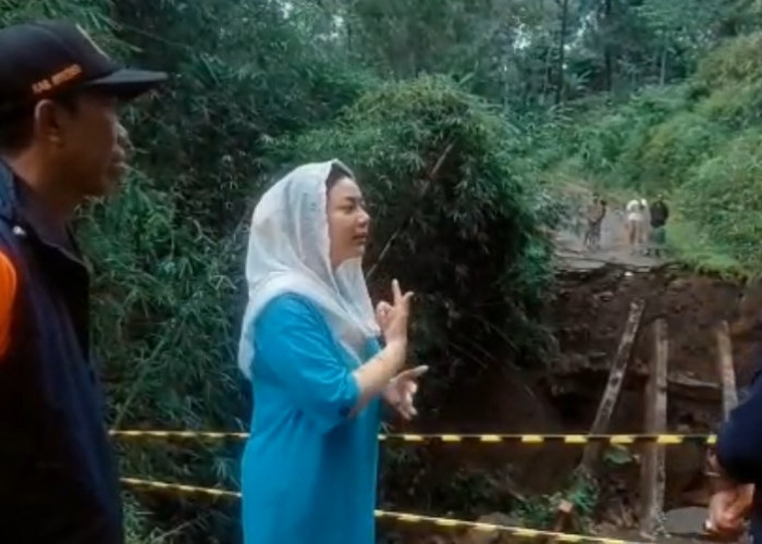 Tinjau Jembatan Ambruk di Cilibur, Bupati Brebes Janji Buat Penanganan Cepat