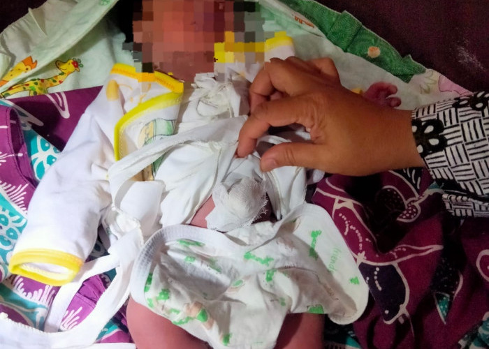 Heboh! Penemuan Bayi Berusia Kurang Dari 24 Jam Dalam Rumah Kosong di Brebes, Begini Kronologinya