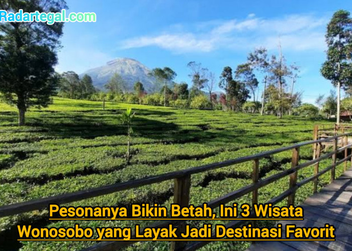 Pesonanya Bikin Betah, 3 Wisata Wonosobo Ini Layak Jadi Destinasi Favorit