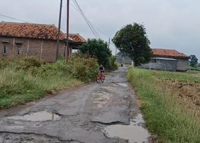  Akses Jalan di Karangdawa Tegal Rusak dan Penuh Lubang, Warga Terpaksa Memutar 2 Kali  