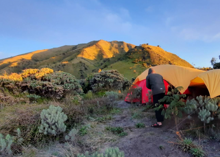 4 Spot Padang Savana di Jawa Tengah 2025 yang Mirip Swiss, Cocok untuk Hunting Foto