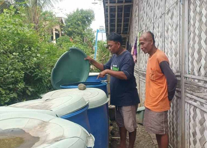 Kemarau, Warga di Brebes Terpaksa Gunakan Air Irigasi yang Keruh: Banyak Kotoran 