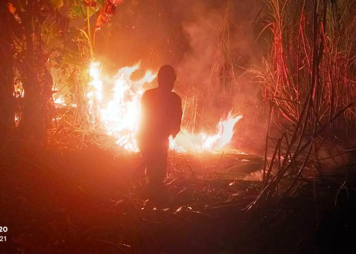 Kecerobohan Bakar Sampah Pemicu Tiga Kebakaran Lahan di Tegal