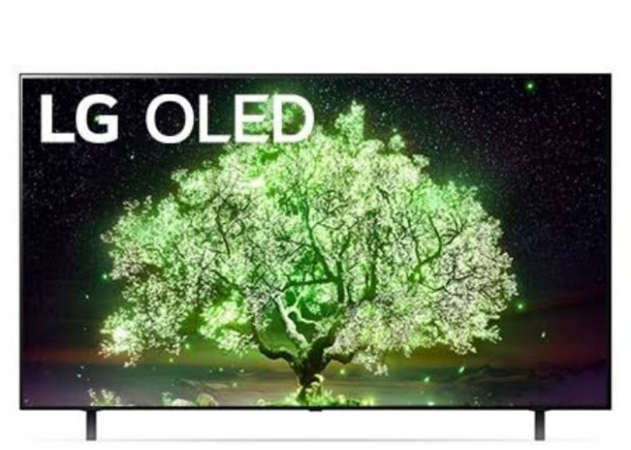 Keunggulan LG Smart TV OLED A1 ThinQ AI 4K UHD, Gambar Cerah dan Penuh Warna Cocok Buat Gaming Juga