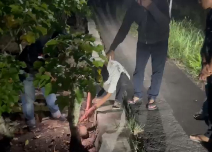 Diduga Edarkan Narkotika Jenis Sabu dalam Bungkus Permen, Pria Asal Cirebon Diamankan Polisi di Brebes 