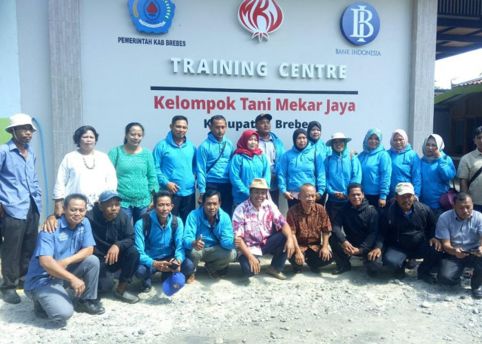 Mandiri Berdikari dan Berkesinambungan, Cara Kelompok Tani Mekar Jaya Wujudkan Klaster Bawang Merah di Brebes 