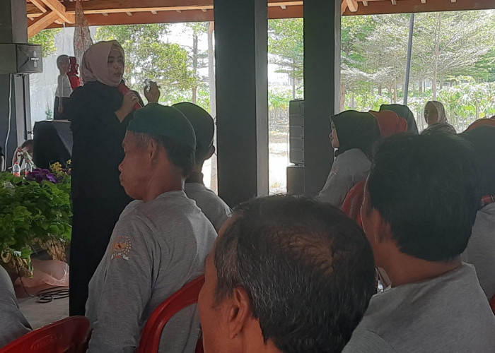 Terlalu Minim, Anggota DPR RI Soroti Alokasi DAU Kesehatan untuk JKN di Kabupaten Tegal