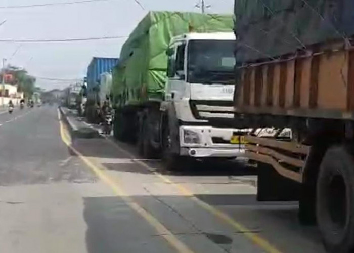 Arus Lalu Lintas di Pantura Tegal Sisi Utara Padat Merayap, Ternyata Ini Sebabnya