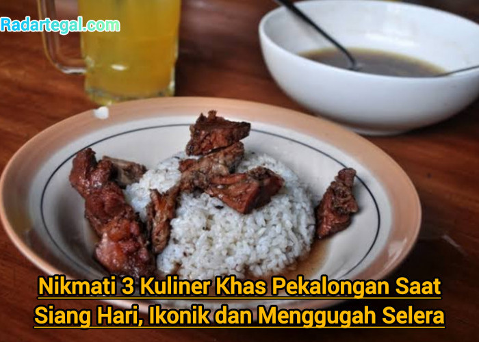 Nikmati 3 Kuliner Khas Pekalongan Saat Siang Hari, Ikonik dan Menggugah Selera