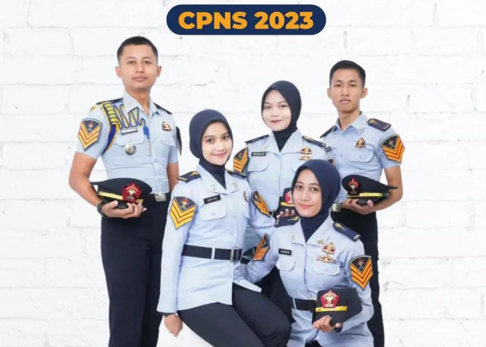 Catat Nih! Pendaftaran CPNS 2023 dan PPPK Dibuka Tanggal 17 September, Cek Formasinya di Sini 