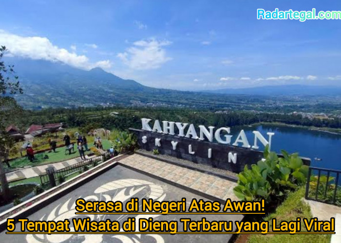 Serasa di Negeri Atas Awan! 5 Tempat Wisata di Dieng Terbaru yang Lagi Viral