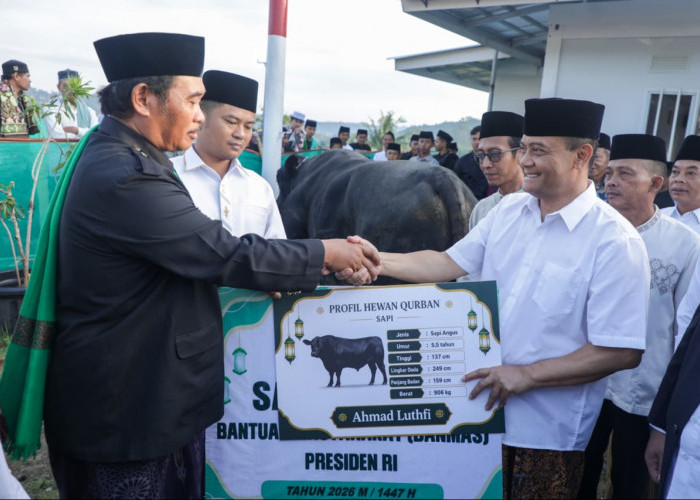 Warga Huntara Tegal Dapat Kado Iduladha dari Gubernur Jateng Sapi Seberat 906 Kg