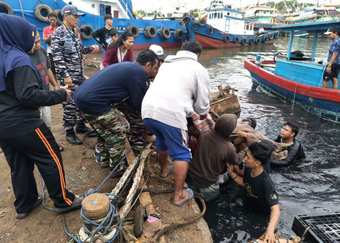 Sempat Hilang, Korban Kapal Tenggelam di Perairan Tegal Ditemukan