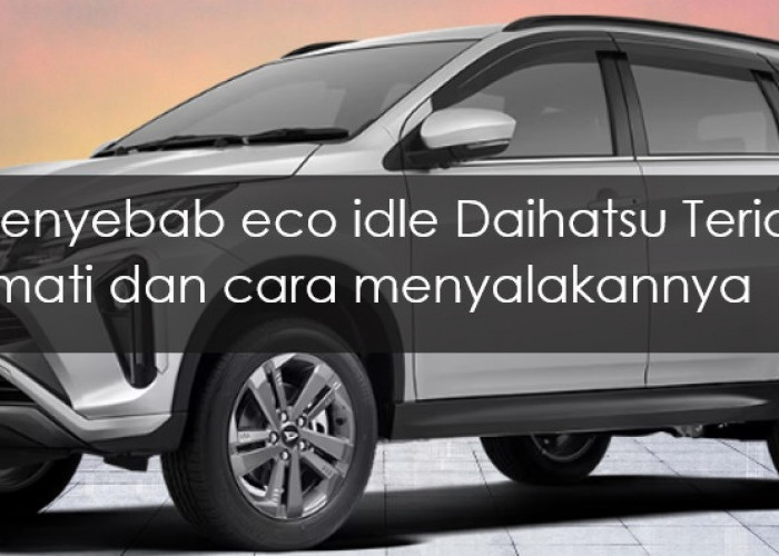 3 Penyebab Indikator Eco Daihatsu Terios Tidak Menyala dan Cara Menyalakannya
