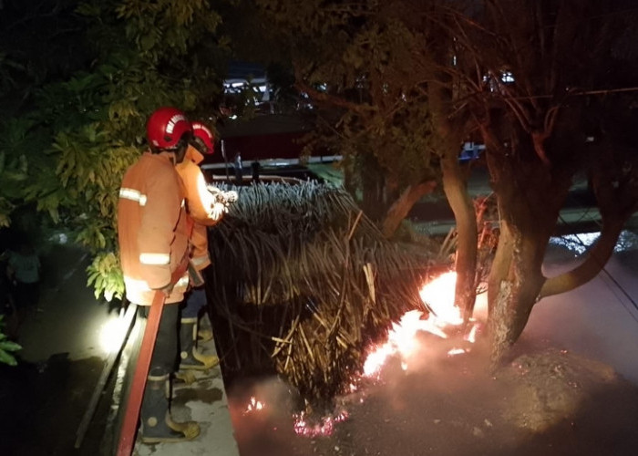 Sisa Bakaran Sampah, Diduga Picu Kebakaran Lahan di Dekat Tanggul Kali Pemali Brebes