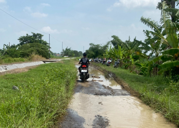 Jalan Pertanian Luwungbata-Tanjung Brebes Rusak Parah, Warga Sambat Bupati