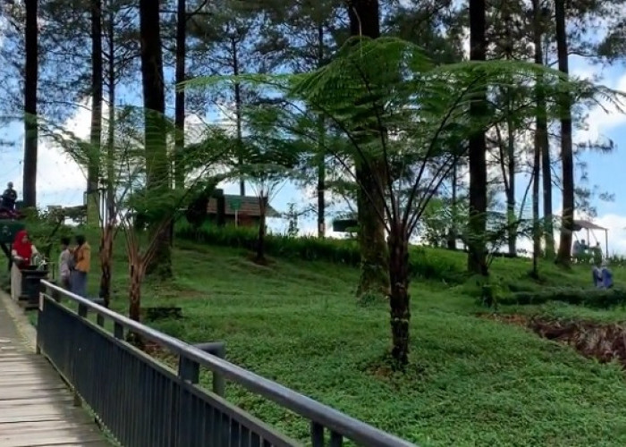 5 Wisata di Purwokerto Cocok Buat Pecinta Fotografi