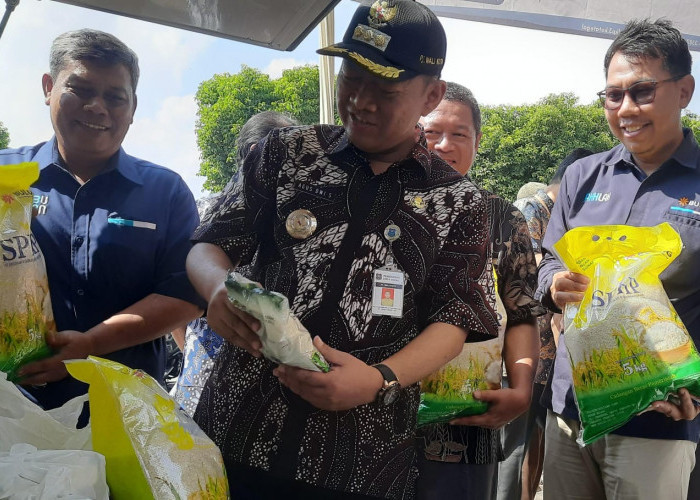 Stok Beras di Tegal dan Sekitarnya Cukup Hingga Awal 2025