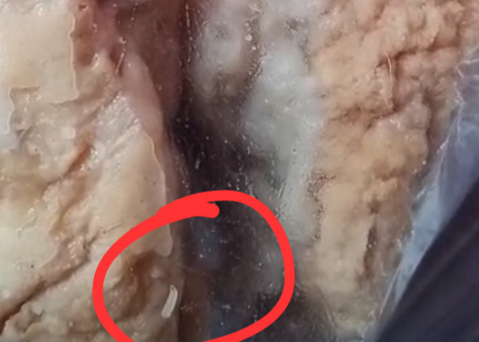 Viral! Wali Murid Temukan Belatung dalam Menu MBG di Brebes