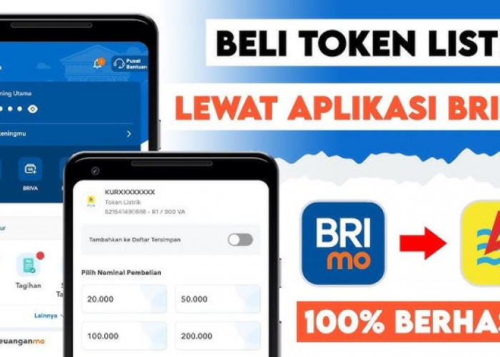 Berkat BRImo, IRT di Empat Lawang Ini Tak Perlu Lagi ke Kota Buat Beli Token Listrik