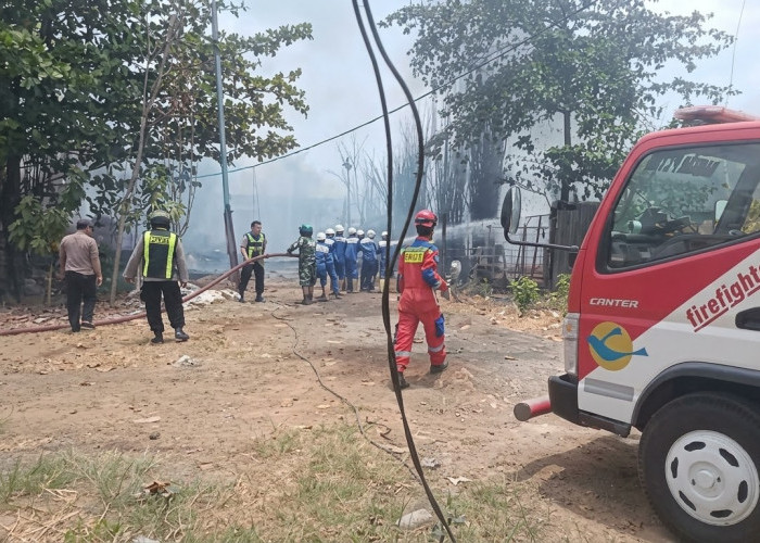 Kandang Ayam di Brebes Terbakar, Puluhan Ribu Ekor DOC Mati Terbakar