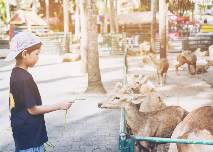 Liburan Bareng Anak di Jawa Tengah Paket Komplit, Bikin si Kecil Happy!