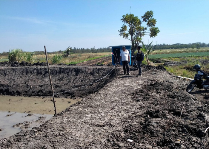 Cegah Kekeringan Saluran Irigasi di Kabupaten Tegal, Embung Geomembran Dibangun di 3 Kecamatan 