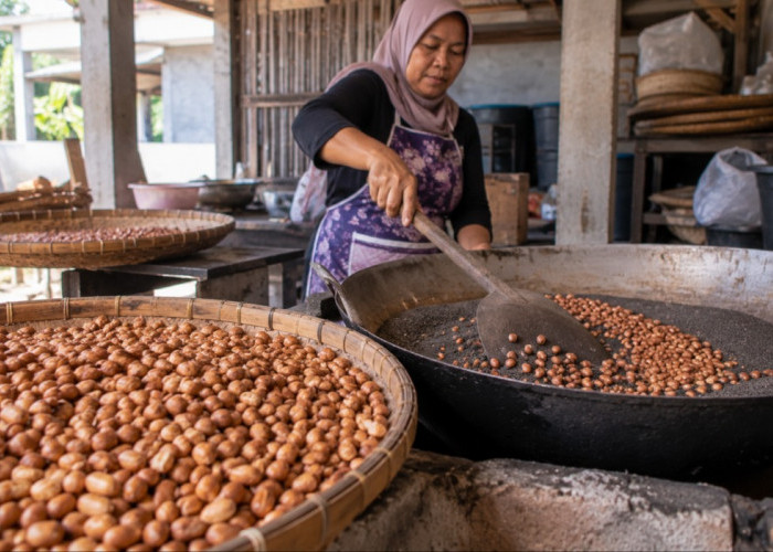 Kacang Bogares Tegal Kembali Jadi Perbincangan, Apa yang Membuat Camilan Ini Begitu Khas?