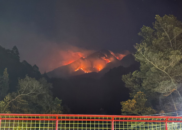 Karhutla Gunung Lawu dan Sumbing Meluas, Pemprov Jateng Kerahkan Helikopter Water Bombing