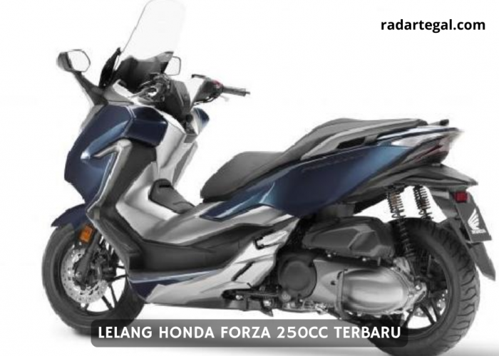 Tampil Memukau, JBA Cabang Jakarta lelang Honda Forza 250cc Terbaru