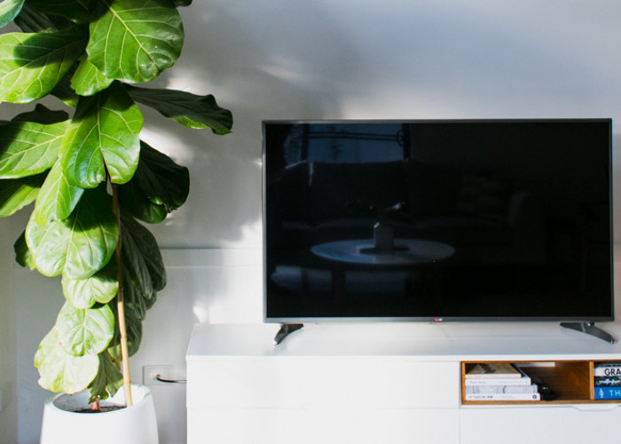 Tips Sederhana Merawat TV LED, Lebih Mudah dan Anti Ribet Bikin Awet
