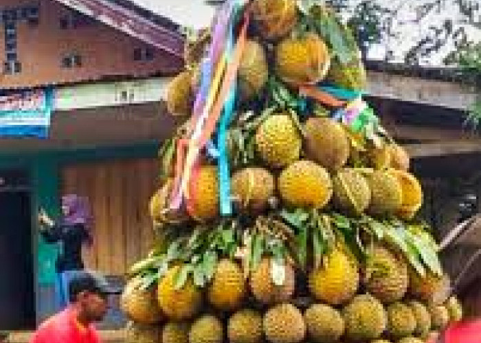 Kampung Unik Desa Ngropoh  Temanggung,  Warga Hidup  Makmur Sejahtera, Hasilkan 125  Ton Durian  Setiap Tahun