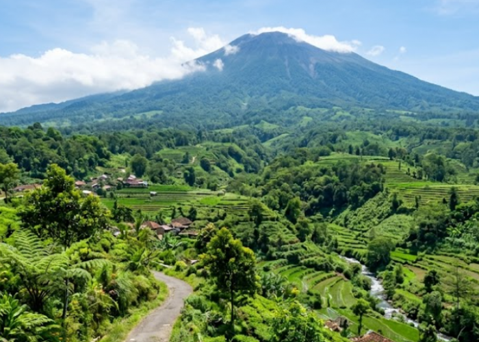 Wisata Alam Kabupaten Tegal Paling Hits 2026, dari Pemandian Air Panas Guci hingga Tebing Danau Beko Eksotis